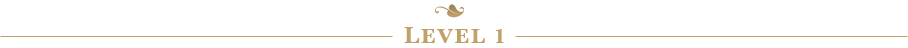 Level 1